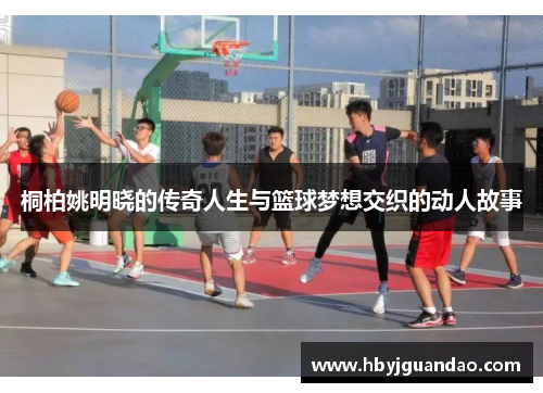 桐柏姚明晓的传奇人生与篮球梦想交织的动人故事