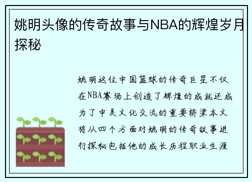 姚明头像的传奇故事与NBA的辉煌岁月探秘